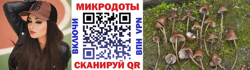блэк спрут зеркало  Болхов  Псилоцибиновые грибы Cubensis 